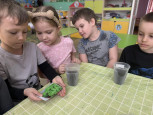 Выращивание зелени и цветов