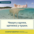 Скороговорки о животных