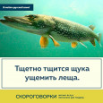 Скороговорки о животных