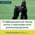 Скороговорки о животных