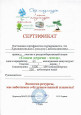 ВЗАИМОДЕЙСТВИЕ С СОЦИАЛЬНЫМИ ПАРТНЕРАМИ И РОДИТЕЛЯМИ