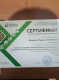 Участие в семинарах,вебинарах