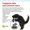 Правила кибербезопасности