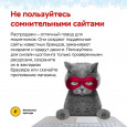 Правила кибербезопасности