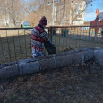 "Зеленая весна"
