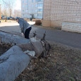 "Зеленая весна"