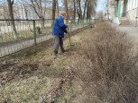 "Зеленая весна"
