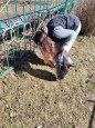 "Зеленая весна"