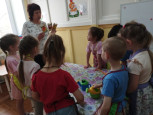 Всероссийский урок Эколят"