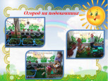 Огород на подоконнике