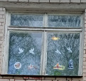 "Окна Победы"