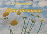24 июня - День ромашки!