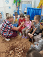 Подсолнух - золотое солнышко