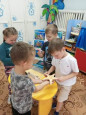 Морская звезда