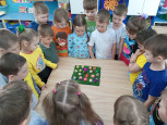 Всемирный день черепахи.