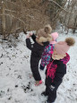 Поможем братьям нашим меньшим
