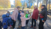 День добра и уважения