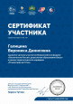 Участие в семинарах, вебинарах, конференциях
