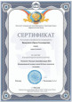 Результаты профессиональных конкурсов, свидетельства о размещении материалов в СМИ