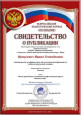 Результаты профессиональных конкурсов, свидетельства о размещении материалов в СМИ