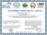 2018-2019 Финалист