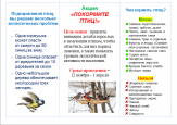 2015-2016 1 место