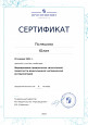 Сертификаты 2024