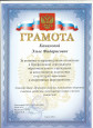 4.11. Наличие отмеченных профессиональных достижений 