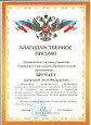 4.11. Наличие отмеченных профессиональных достижений 