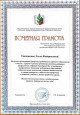 4.11. Наличие отмеченных профессиональных достижений 