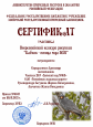Всероссийский конкурс рисунков "Кобчик-птица года 2021"